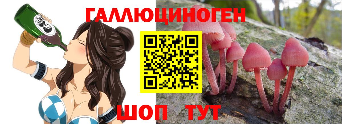 Каменск-Шахтинский  Галлюциногенные грибы мицелий  Вход с VPN  Псилоцибиновые грибы Cubensis 